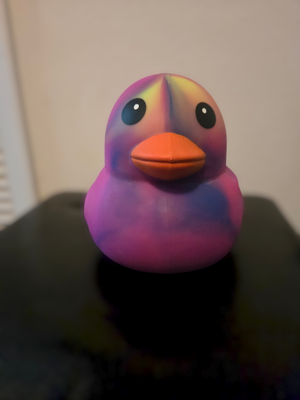 Squeeezy Multi Colored Duck